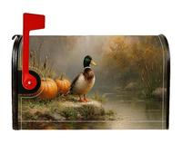 Housse de boîte aux lettres magnétique en forme de canard - Citrouilles naturelles rustiques - Vert - Pour décoration de jardin ou extérieur - 53,3 x 64,9 cm