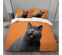 Housse de Couette 1 Personne 160x200 Chats Rigolos Parure de Lit Microfibre Ensemble de Literie 3D Orange Housse Couette et 2 Taies d'oreiller 65x65 pour Enfants k.2390
