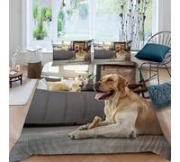 Housse de Couette 140x200 Golden Retriever Parure de Lit 1 Personne IntéRieur 3 Pièces Housse Couette en Microfibre Douce Imprimé 3D avec 2 Taies d'oreiller 65x65 cm h-411