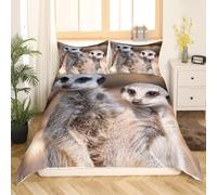 Housse de Couette 140x200 Suricate Microfibre Douce Parures de Lit 1 Personnes Imprimé 3D Animaux Sauvages Housses Couette avec 2 Taies d'oreiller et Fermeture Éclair c.1177