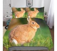 Housse de Couette 160x200 Lapin Parure de lit 1 Personne Motif de Lapin 3D Imprimée Ultra Doux Confortable Literie Set Microfibre Housses Couettes avec Fermeture Éclair et 2 Taies d'oreiller I-2699