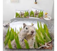 Housse de Couette 200x200 écureuil Mignon Parure de Lit 2 Personnes Animaux Imprimé 3D Microfibre Doux Housses Couettes avec Fermeture Éclair et 2 Taies d'oreiller P.724