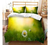Housse de Couette 200x200 Vert Parure de Lit Adulte 2 Personnes Microfibre Respirante Paysage d'herbe et de Fleurs Ensemble de Literie avec Fermeture Éclair et 2 Taies d'oreiller b-7136