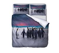 Housse De Couette 200x200Cm Avec 2 Taie D'Oreiller, Flanelle 3D Animal Antarctique Pingouin Parure De Lit En Microfibre Avec Fermeture Éclair, Motif Housses De Couettes Pour Ado Enfants Garçons