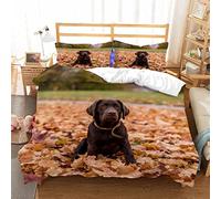 Housse de Couette 220x240 Le Noir， Labrador Parure de Lit 2 Personnes Imprimée Microfibre, Housse de Couette 220x240 + 2 Taies d'oreiller 65x65 cm
