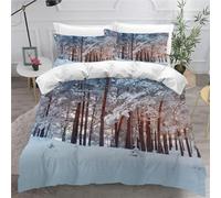 Housse de Couette 220x240 Paysage Enneigé Microfibre Douce Parures de Lit 2 Personnes Imprimé 3D Paysages d'hiver Housses Couette avec 2 Taies d'oreiller et Fermeture Éclair h.251