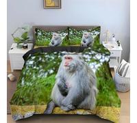 Housse de Couette 220x240 Singe Parure de Lit 2 Personnes Animaux Imprimée 3D Microfibre Douce Singe Housse Couette Réversible avec 2 Taies d'oreiller m2704