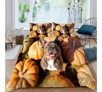 Housse de Couette 240 x 260 Bouledogue Français Imprimée 3D éléments d'automne Parure de Lit 2 Personnes Doux Microfibre Literie avec 2 Taies D'oreillers avec Fermeture Éclair P-1134