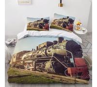 Housse de Couette 240 x 260 Train Ancien Parure de Lit 2 Personnes 3D Train à Vapeur Ensemble de Literie en Microfibre avec Fermeture Éclair et 2 Taies d'oreiller 65x65 cm A-1155