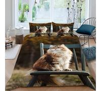 Housse de Couette 280x240 Chat Mignon Parure de Lit 2 Personnes Banc en Bois Vieilli Imprimé 3D Microfibre Doux Housses Couettes avec Fermeture Éclair et 2 Taies d'oreiller P.307