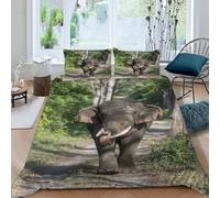 Housse de Couette 90x190 éLéPhant Parure de Lit 1 Personne Animaux Mignons 3 Pièces Housse Couette en Microfibre Douce Imprimé 3D avec 2 Taies d'oreiller 65x65 cm f-2270