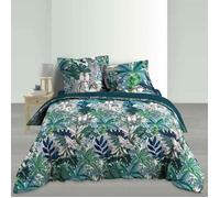 Housse de couette - Percale - Perrroquets et inséparables - 240x220 cm - 2 taies 63x63 cm - Douceur