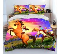 Housse De Couette Spirit Riding Free Horses, Parure De Lit Pour Enfants, Motif Chevaux De Dessin Anime, Taille King/Queen, Decoration De Chambre, Cadeaux