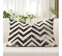 Housse de Coussin 50 x 60 cm en Velours Doux, Gris Taie d'Oreiller avec Impression Double Face et Fermeture Éclair Invisible, Décoration Moderne pour Canapé, Salon et Chambre, Bande, 1 Pièce, A*478
