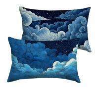 Housse de Coussin 60x80cm Bleu Exterieur Résistant à L'eau Lot de 2 en Velours Canapé Taie D'oreiller Décoratif Taie, Voiture Salon Chambre Jardin Maison Hiver Printemps Décor Cadeaux Abstrait Y-P1154