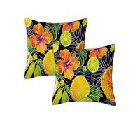 Housse de Coussin 90x90 cm, Coussin Exterieur Impermeable Taie d'oreiller Tropical, Lot de 2 Carrée Lin Housse Oreiller Canapé pour Salon Chambre Balcon Terrasse Chaise Automne Décoration, Fruit Z-960