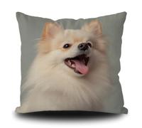 Housse de coussin amusante pour chien spitz miniature chien chiot art décoratif taie d'oreiller pour canapé chien amoureux cadeau toile blanche 50 x 50 cm double face, style 3