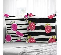 Housse de Coussin Bande Housse Coussin Exterieur Pitaya, Taie d'oreiller 65x65cm Protege Oreiller Lot de 2 Tissu Velours Doux Lavable avec Fermeture éclair Invisible Pour Chambre Décoration R1-206