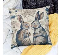 Housse De Coussin Carré Beatrix Potter Lapins Fleurs Lot De 2 Respirant Taie d'oreiller pour Lit Été Canapé