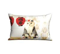 Housse De Coussin Chat Sushi Chaton Japonais Mignon Drôle Carrées Taie d'oreiller Imprimé Confortable Housse Coussin, pour Voiture, Chaise, Canapé, 40x60cm