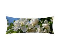 Housse de Coussin de Positionnement 35x105 cm naturel Taie en Velours pour Oreiller Corporel, Fermeture Éclair Invisible, Super Doux et Confortable, fleur Taie Longue Pour Dormir Sur le Côté 0E-822