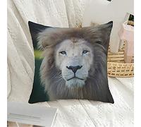 Housse de Coussin décorative carrée taie d'oreiller Douce Carnivore mâle Lion d'afrique Animaux Sauvage Faune Afrique Safari Nature félin Lion mammifère crinière Housse de Coussin pour canapé chambr