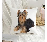 Housse de Coussin décorative carrée taie d'oreiller Doux Marron Yorkshire Mignon Chiot se Trouve sur de Beaux Animaux Blancs Faune Terrier Adorable Adore Attrayant Housse de Coussin pour canapé Cham