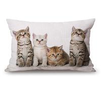 Housse de coussin décorative en coton et lin avec motifs de chats colorés et créatifs pour canapé, canapé, lit, 30,5 x 50,8 cm