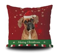 Housse de coussin décorative en lin avec motif de chien boxer en bonnet de Père Noël - Flocon de neige vert et rouge - Pour lit et canapé - 40,6 x 40,6 cm - Double face