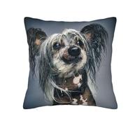 Housse de Coussin décorative, taie d'oreiller Douce, 30x30 cm, pour Chambre à Coucher, canapé, Chien Chinois à crête