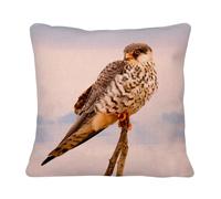 Housse de Coussin en Lin - Faucon Posé sur Une Branche Nature Sauvage Rapace - 40 x 40 cm