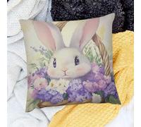 Housse De Coussin Fleurs De Lapin Beatrix Potter Lot De 2 Doux Taie d'oreiller Extérieure pour Canapé Patio Maison