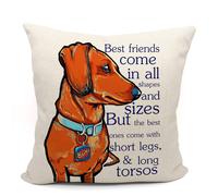 Housse de coussin Mancheng-zi en forme de teckel, cadeau pour amoureux des chiens, d coration pour chien teckel, housse de coussin amusante pour