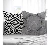 Housse de Coussin Moderne Housse Coussin Exterieur Modèle, Taie d'oreiller 30x50cm Protege Oreiller Lot de 2 Tissu Velours Doux Lavable avec Fermeture éclair Invisible Pour Chambre Décoration R1-79