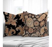 Housse de Coussin Noir Housse Coussin Exterieur Abstrait, Taie d'oreiller 65x65cm Protege Oreiller Lot de 2 Tissu Velours Doux Lavable avec Fermeture éclair Invisible Pour Chambre Décoration R1-210