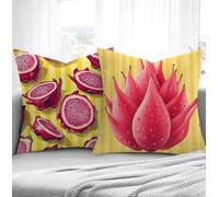 Housse de Coussin Pitaya Housse Coussin Exterieur Bande, Taie d'oreiller 65x65cm Protege Oreiller Lot de 2 Tissu Velours Doux Lavable avec Fermeture éclair Invisible Pour Chambre Décoration R1-228