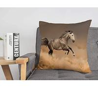 Housse de Coussin Sun Racer Mare Active Dressage Horse Equestrian Strong Run Sky Fast Runner Galop Silver Mane Housses de Coussin Confortables 45,7 x 45,7 cm pour lit, Voiture, Salon