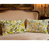 Housse de Coussin Vert Oreiller 60x90cm Lot de 2 Velours Coussin Citron,2026 Nouveau Rectangulaire Impression Recto Verso Taie Oreiller pour Decoration Maison Salon Intérieur Canapé Chambre O-236B