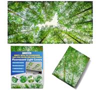 Housse de lumière fluorescente - Couverture de salle de classe pour plafonniers, 1 filtre magnétique de 1,2 x 6,1 m, décoration de salle de classe, bureau (printemps et forêt)
