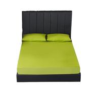 Housse De Matelas Drap-housse imperméable avec bande élastique, housse antidérapante, protège-matelas for simple et Double ProtèGe Matelas(Green,120x200x30cm)