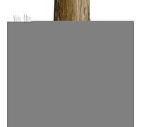 Housse de protection contre les racines de palmier - Enveloppement froid réutilisable, couverture thermique contre le gel | Protection d'arbre résistante aux intempéries - Protection de base d'hiver