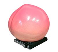 Housse de protection décorative anti-poussière pour appareil photo numérique de grande marque - Accessoire d'appareil photo reflex numérique sans miroir