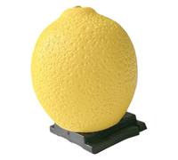 Housse de protection décorative anti-poussière pour appareil photo numérique de grande marque - Accessoire d'appareil photo reflex numérique sans miroir