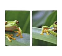 Housse de protection pour passeport, motif grenouille arbre, housse de passeport, étui de passeport élégant, multifonctionnel, style 20,3 x 13,8 cm, Style :, 20.3x13.8cm