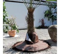 Housse de protection pour plantes, 4 clous, pour l'hiver, protège les racines des palmiers, protège