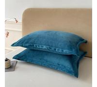 Housse de taie d'oreiller Velours Premium, Lot de 2 taies 50x76 cm, Fermeture Envelope Anti-Statique, sans Oreiller Inclus(Teal Blue)
