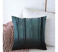 Housse d'oreiller Arbres, Brouillard, Ombre sur Le Noir, Peur Matinale, Magie du Matin d'automne, Nature, Soleil Élégant, Parcs, Saison Taies Oreiller Lavable Housses De Coussin 45X45 CM