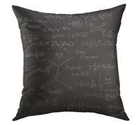 Housse d'oreiller Tableau Noir Scientifique avec Mathématiques Équations Physiques Réelles De La Théorie De La Relativité Mécanique Quantique Taies Oreiller Lavable Taie d'oreiller 45X45 Cm