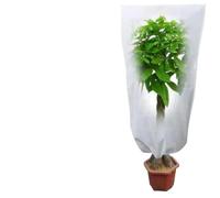 Housse Hivernage Plante Exterieur Couverture Chaude For Plantes D'hiver, Sac De Protection For , Arbustes Et Arbres, Housse Contre Le Gel For Jardin, Petit Arbre Froid(200x240cm Zipper,White)