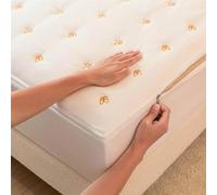 Housse Integrale Matelas 180x200 Fermeture Eclair Renove Matelas Integral 15 Cm Protection Matelas Housse De Matelas Anti Punaise De Lit(a,200x220+15cm)
